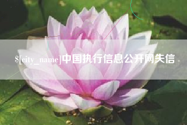 青州中国执行信息公开网失信
