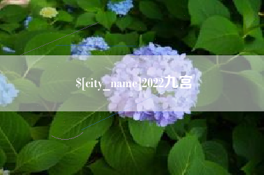 青州2022九宫