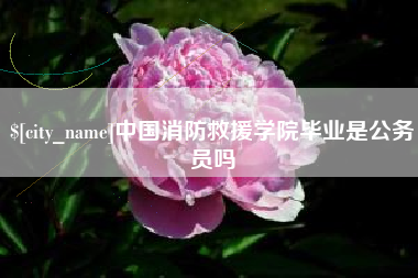 青州中国消防救援学院毕业是公务员吗