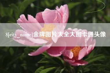 青州金牌图片大全大图卡通头像