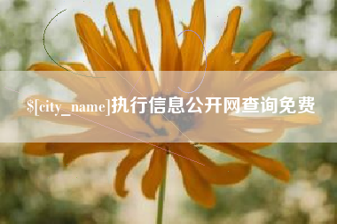 青州执行信息公开网查询免费
