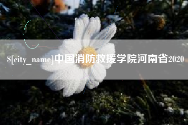 青州中国消防救援学院河南省2020